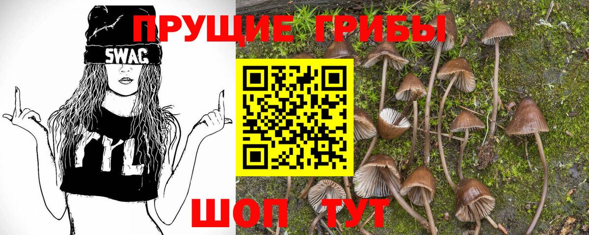 Псилоцибиновые грибы GOLDEN TEACHER Сарапул