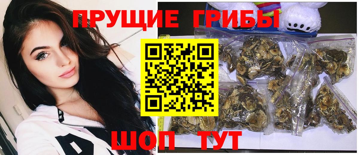 Псилоцибиновые грибы GOLDEN TEACHER  Вход с VPN  Сарапул 